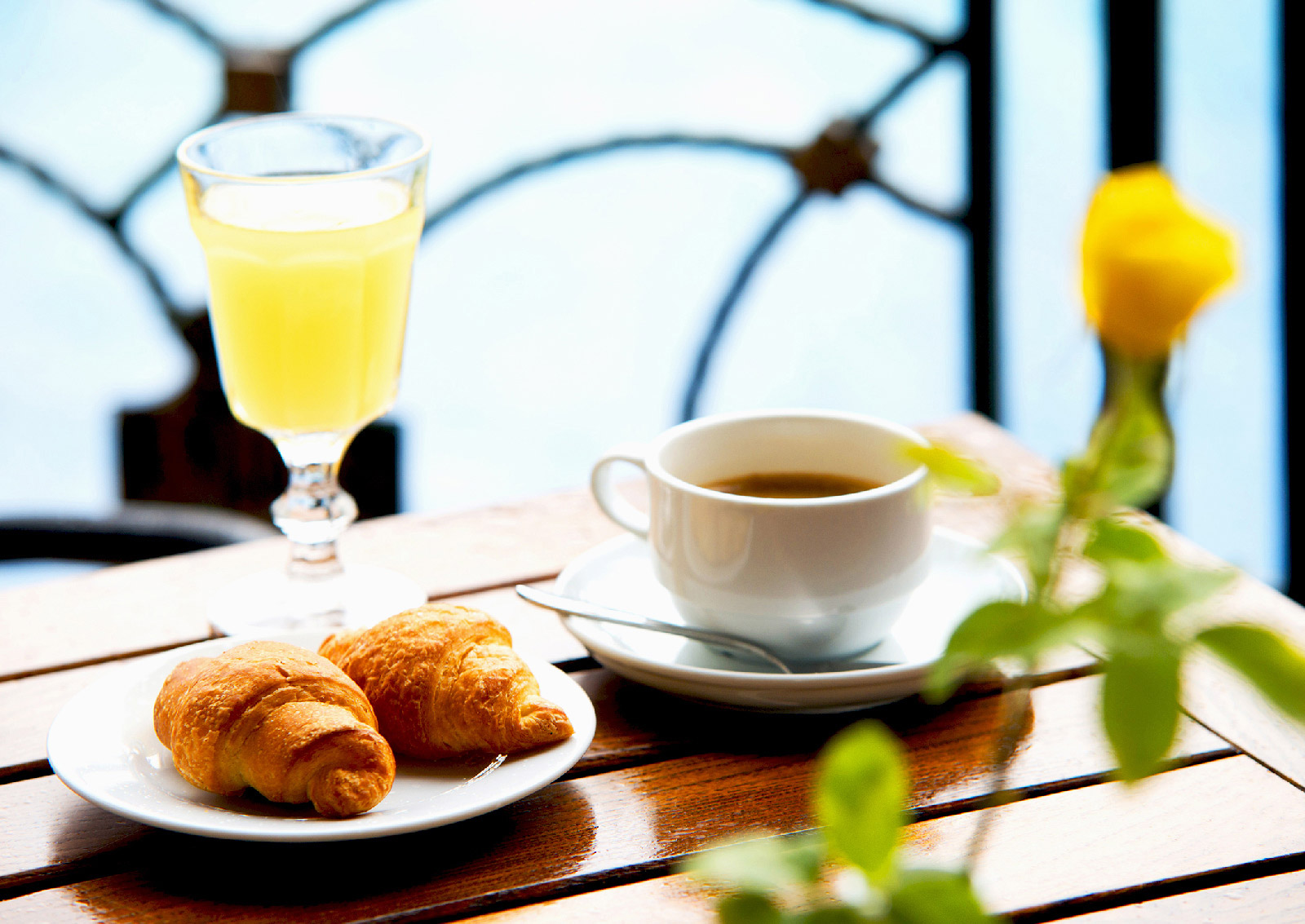 Hotel Alba - Snack Bar